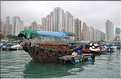 L'ancien port de Aberdeen abrite encore une petite flotte de pêche. Hong Kong. (10)
