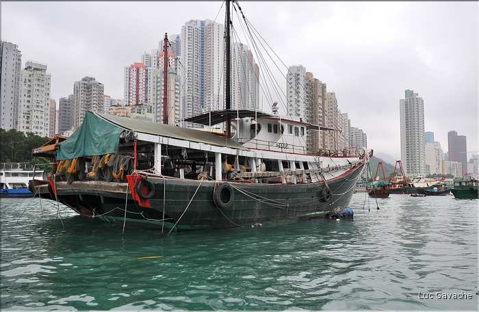 L'ancien port de Aberdeen abrite encore une petite flotte de pêche. Hong Kong. (11)