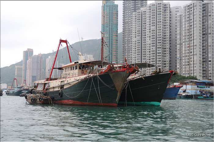 L'ancien port de Aberdeen abrite encore une petite flotte de pêche. Hong Kong. (12)