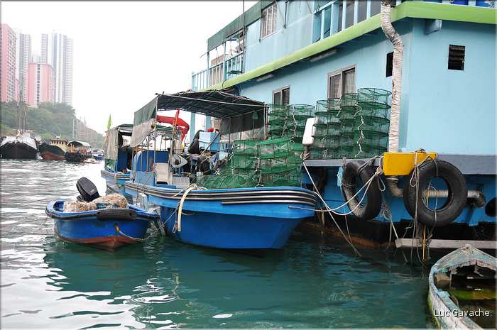 L'ancien port de Aberdeen abrite encore une petite flotte de pêche. Hong Kong. (13)