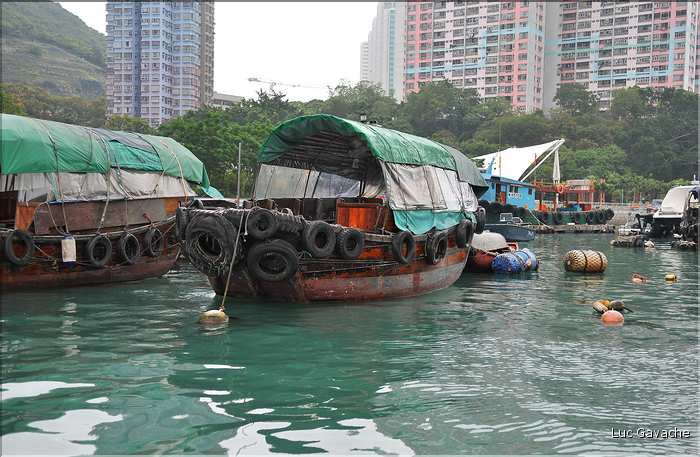 L'ancien port de Aberdeen abrite encore une petite flotte de pêche. Hong Kong. (14)
