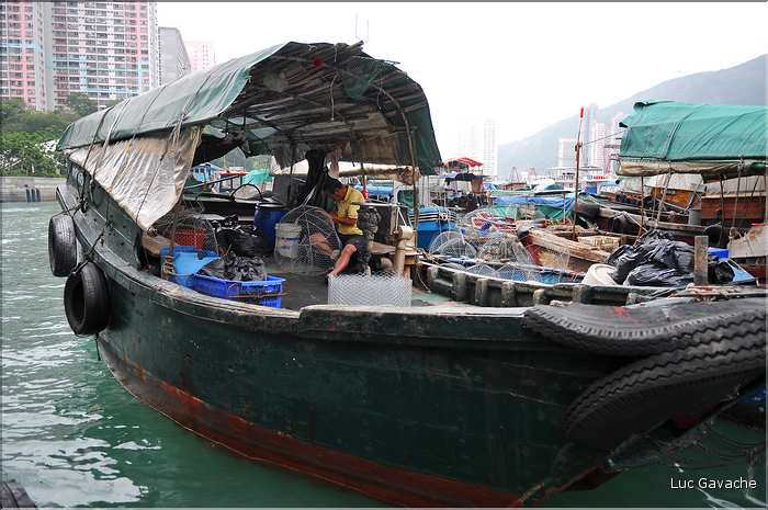 L'ancien port de Aberdeen abrite encore une petite flotte de pêche. Hong Kong. (16)