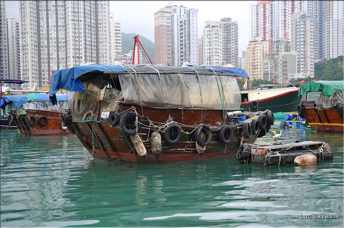 L'ancien port de Aberdeen abrite encore une petite flotte de pêche. Hong Kong. (18)