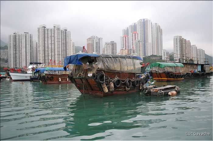 L'ancien port de Aberdeen abrite encore une petite flotte de pêche. Hong Kong. (19)