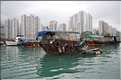 L'ancien port de Aberdeen abrite encore une petite flotte de pêche. Hong Kong. (19)