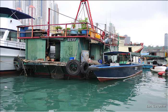 L'ancien port de Aberdeen abrite encore une petite flotte de pêche. Hong Kong. (22)