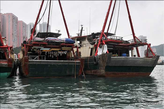 L'ancien port de Aberdeen abrite encore une petite flotte de pêche. Hong Kong. (23)