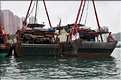 L'ancien port de Aberdeen abrite encore une petite flotte de pêche. Hong Kong. (23)
