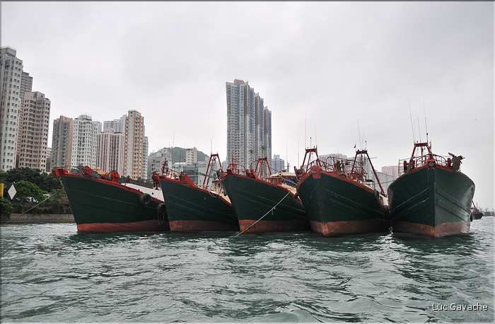 L'ancien port de Aberdeen abrite encore une petite flotte de pêche. Hong Kong. (26)