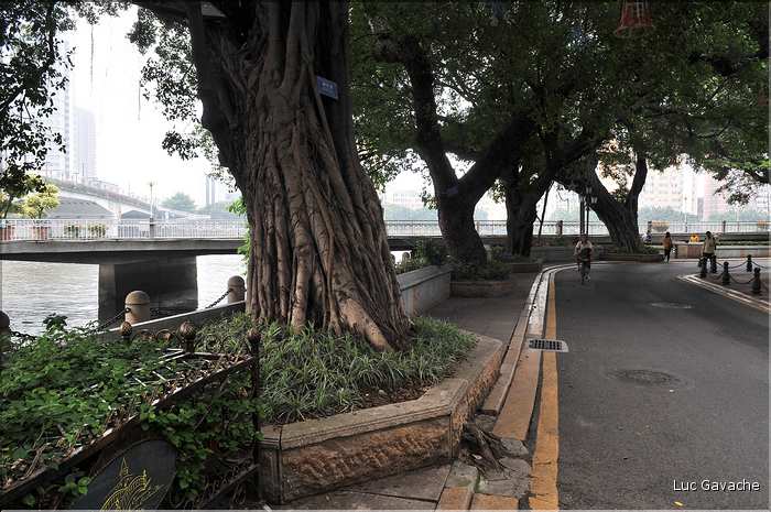 L'île de Shamian, est l'ancienne enclave Franco-britannique de Canton. (1)