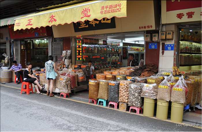 Le très pittoresque marché de Qingping. Canton. (3)