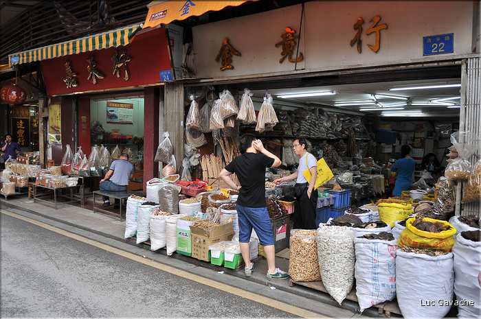 Le très pittoresque marché de Qingping. Canton. (5)
