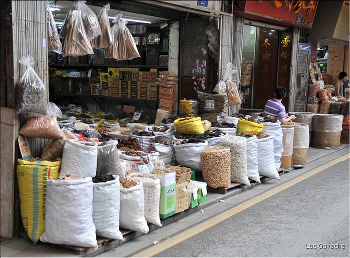Le très pittoresque marché de Qingping. Canton. (7)