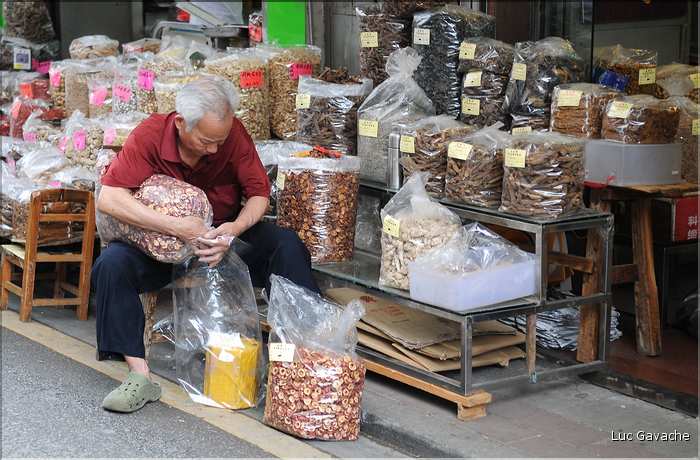 Le très pittoresque marché de Qingping. Canton. (8)