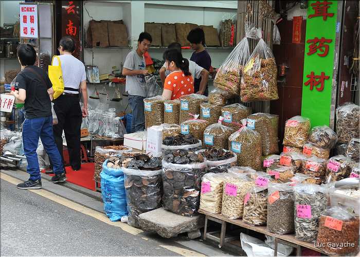 Le très pittoresque marché de Qingping. Canton. (9)