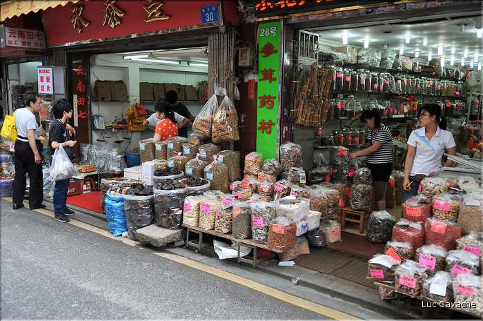 Le très pittoresque marché de Qingping. Canton. (10)