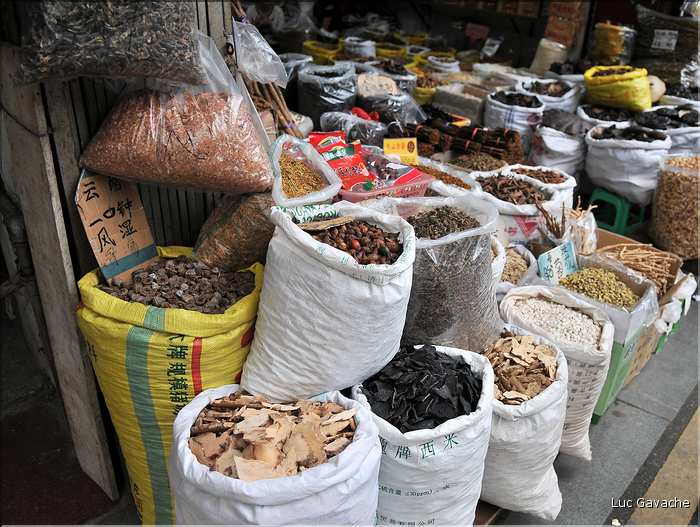 Le très pittoresque marché de Qingping. Canton. (11)