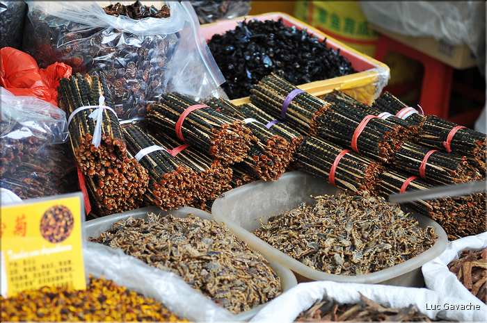 Le très pittoresque marché de Qingping. Canton. (12)