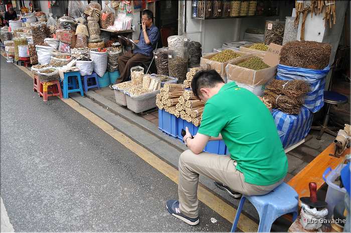Le très pittoresque marché de Qingping. Canton. (20)