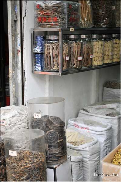 Le très pittoresque marché de Qingping. Canton. (21)