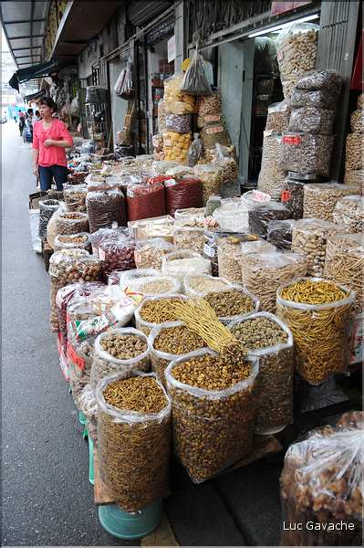 Le très pittoresque marché de Qingping. Canton. (22)
