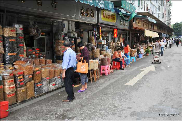 Le très pittoresque marché de Qingping. Canton. (37)