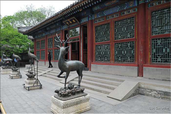 Le palais d'été fut la résidence des empereurs Qing, la dernière dynastie de Chine. (17)