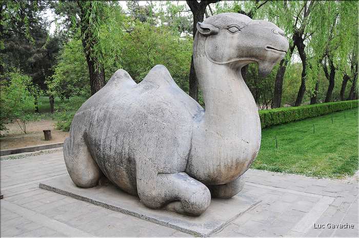 La voie des esprits permettait l'accès aux tombeaux Ming. Elle est composée de 24 statues d'animaux et de 12 statues de sages. (9)