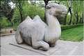 La voie des esprits permettait l'accès aux tombeaux Ming. Elle est composée de 24 statues d'animaux et de 12 statues de sages. (9)
