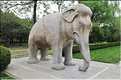 La voie des esprits permettait l'accès aux tombeaux Ming. Elle est composée de 24 statues d'animaux et de 12 statues de sages. (12)