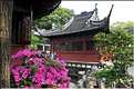 Le jardin du mandarin Yu ''période Ming XVI ème siècle'' se trouve au cur  de la vieille ville de Nanshi. (20)