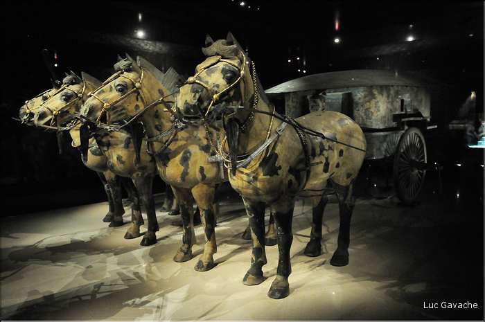 Deux chars en Bronzes ont également été trouvés pendant les fouilles. (4)