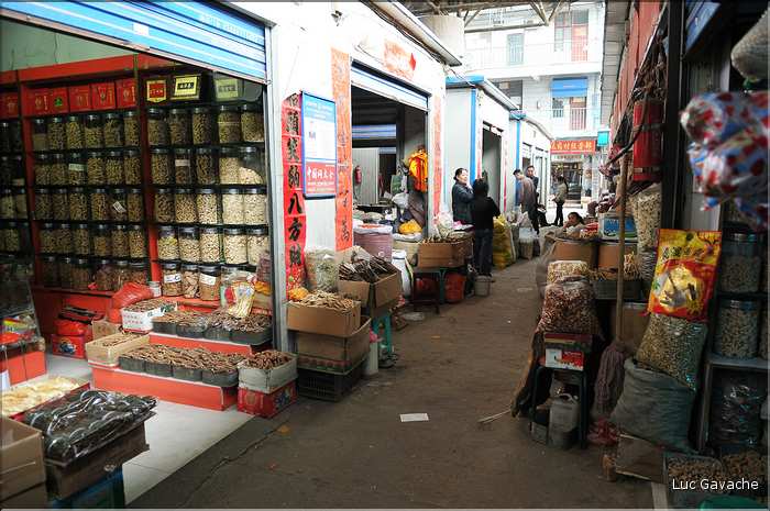 Marché des médecines traditionnelles chinoises de Xi'an. (1)