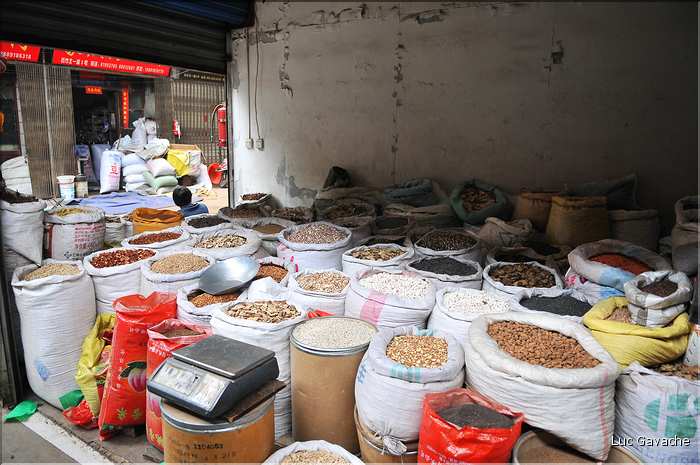 Marché des médecines traditionnelles chinoises de Xi'an. (4)