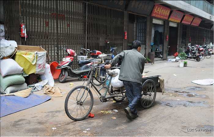 Marché des médecines traditionnelles chinoises de Xi'an. (6)
