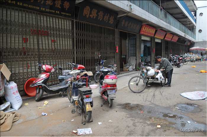 Marché des médecines traditionnelles chinoises de Xi'an. (7)