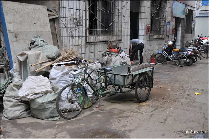 Marché des médecines traditionnelles chinoises de Xi'an. (8)