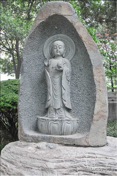 Pagode Bouddhique de la grande oie sauvage de la période Tang ''VII ème siècle''. (33)