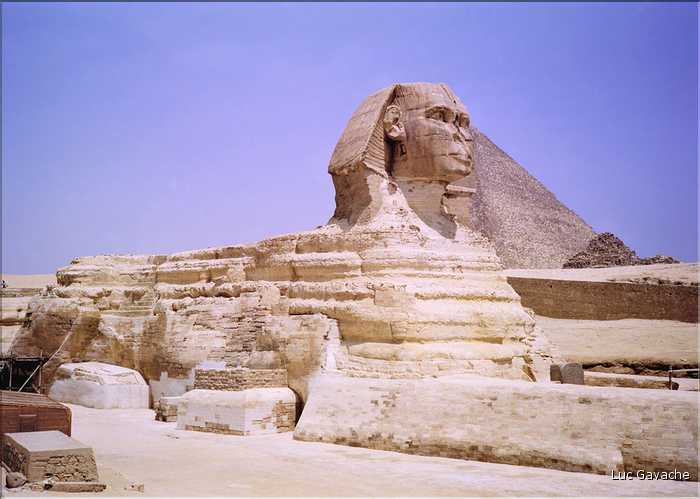 Sur le plateau  de Guizeh aux portes du Caire, le Sphinx (1)