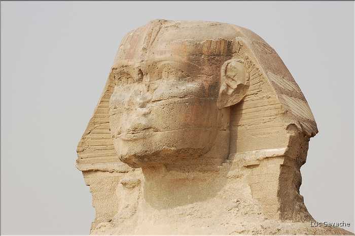 Sur le plateau  de Guizeh aux portes du Caire, le Sphinx (3)