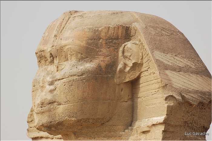 Sur le plateau  de Guizeh aux portes du Caire, le Sphinx (4)
