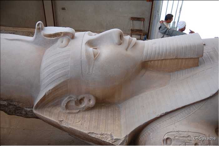 Statue colossale de Ramses II,   Memphis capital de L'ancien Empire (7)