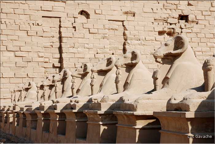 Allée de Sphinx à l'entrée du temple de Karnak, Louxor (1)