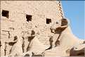 Allée de Sphinx à l'entrée du temple de Karnak, Louxor (2)