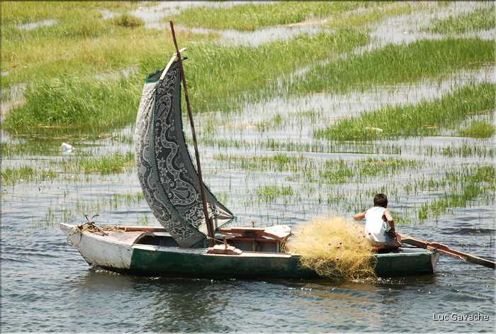 Les pêcheurs du Nil (1)
