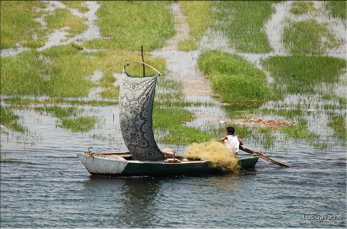 Les pêcheurs du Nil (2)