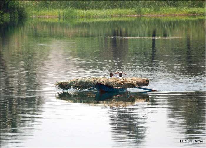La vie du Nil sur les berges et sur l'eau (7)