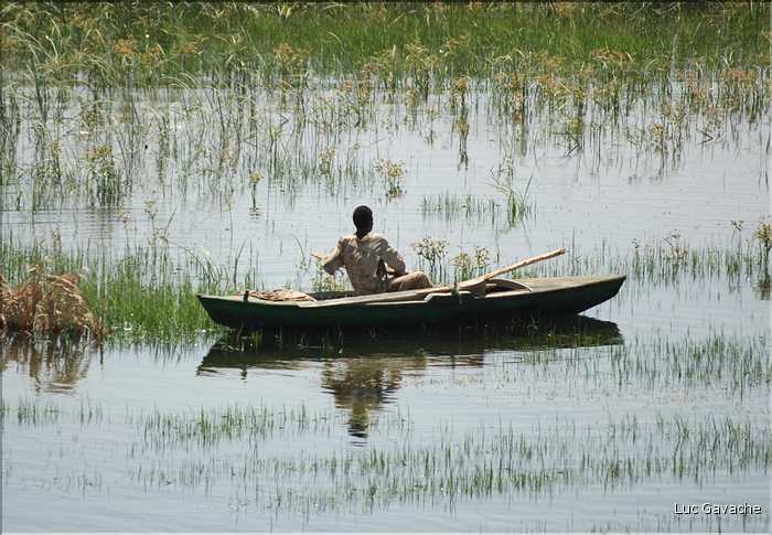 La vie du Nil sur les berges et sur l'eau (14)