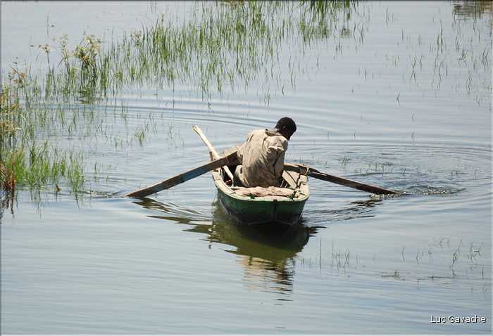 La vie du Nil sur les berges et sur l'eau (15)