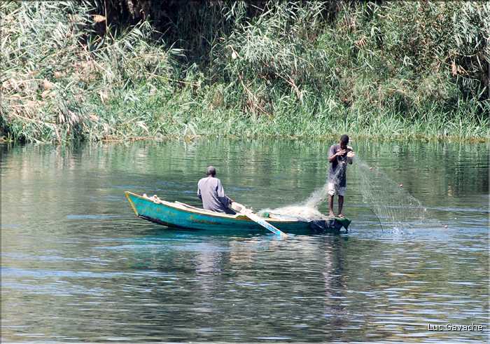 La vie du Nil sur les berges et sur l'eau (21)